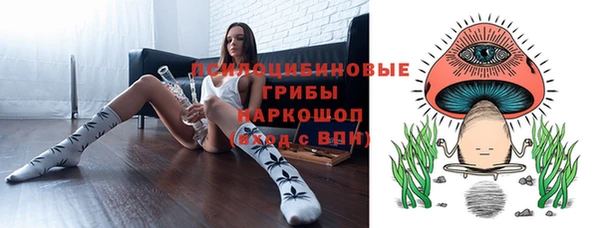 гидра Алексеевка