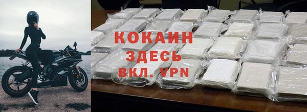 spice Алзамай