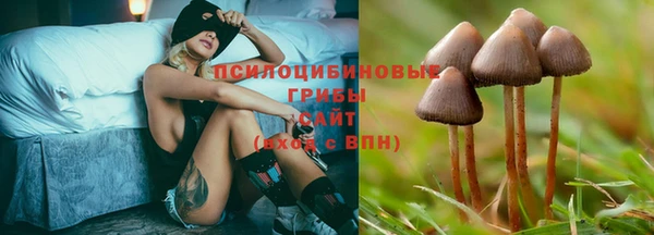 гидра Алексеевка