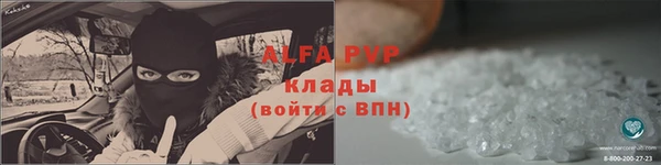 стафф Алексин