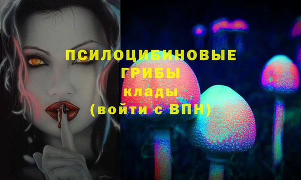 гидра Алексеевка