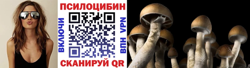дарнет шоп Родники Галлюциногенные грибы мухоморы